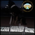 thumbnail image 5 of Country Brook Design® 1 1/2 Inch Thin Blue Line Reflective Polyester Webbing, 5 Yards, 5 of 7