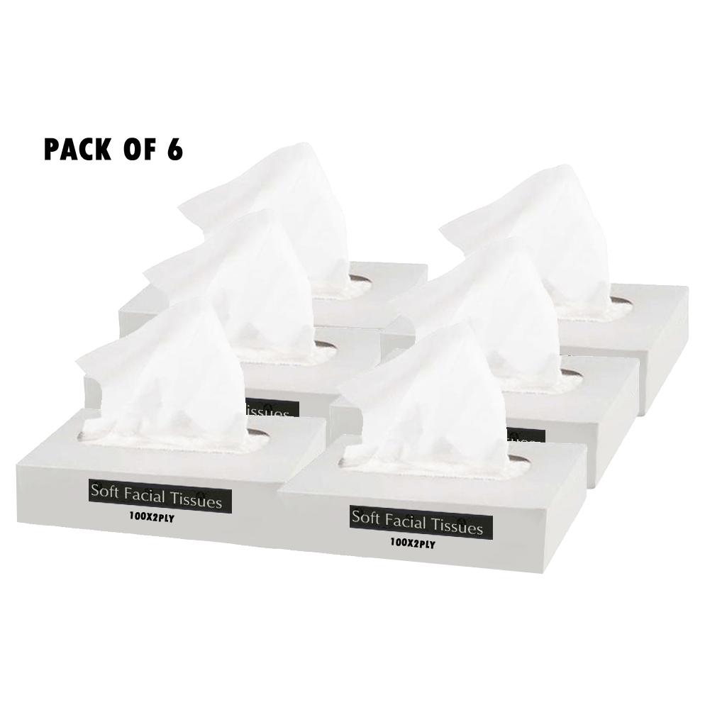 SOFT FACIAL TISSUES 100 Sheets X 2 Ply (PACK OF 6) Walmart Canada