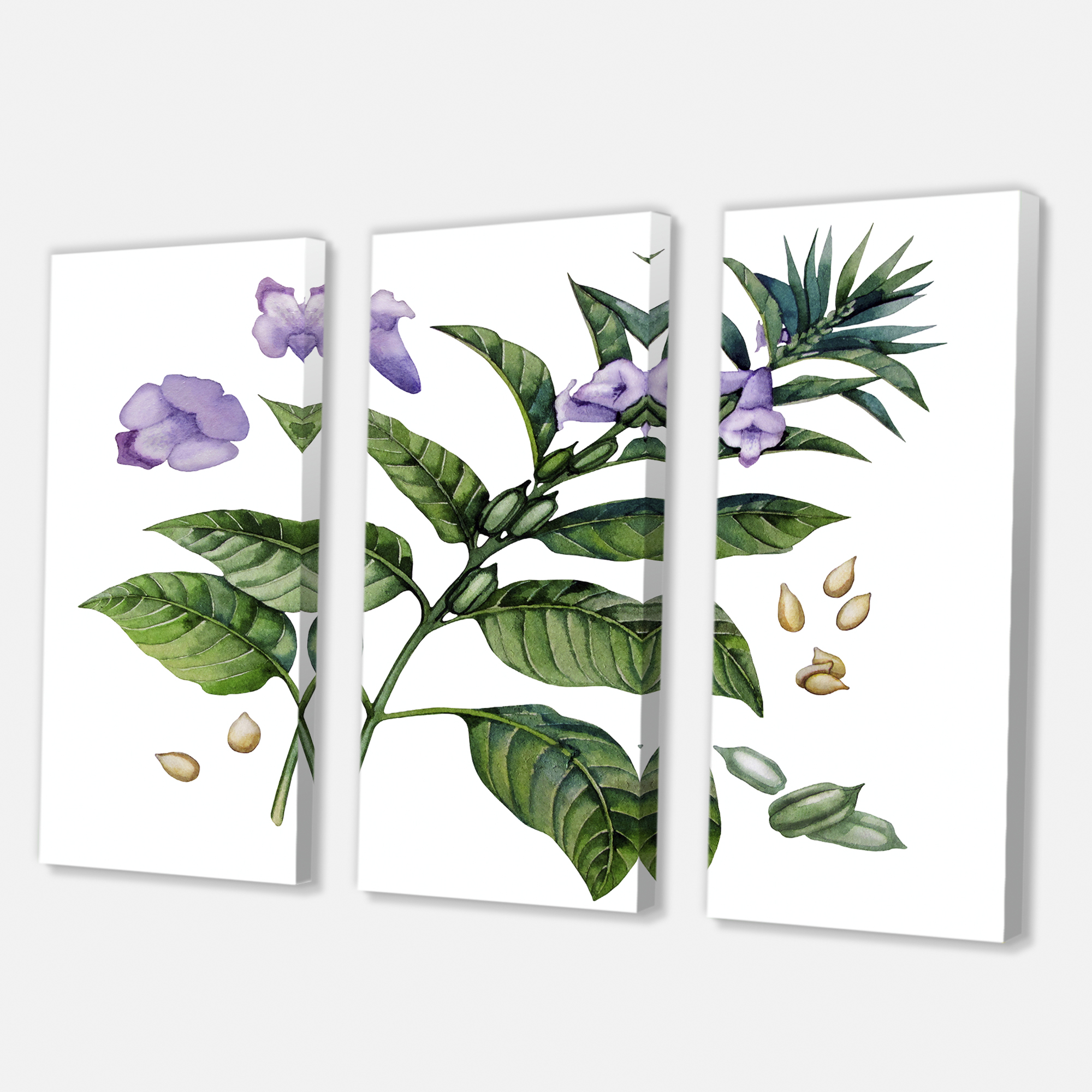 Purple Sesame Flowers WIth Green Leaves On White 28 in x 36 in Painting Canvas Art Print, by Designart