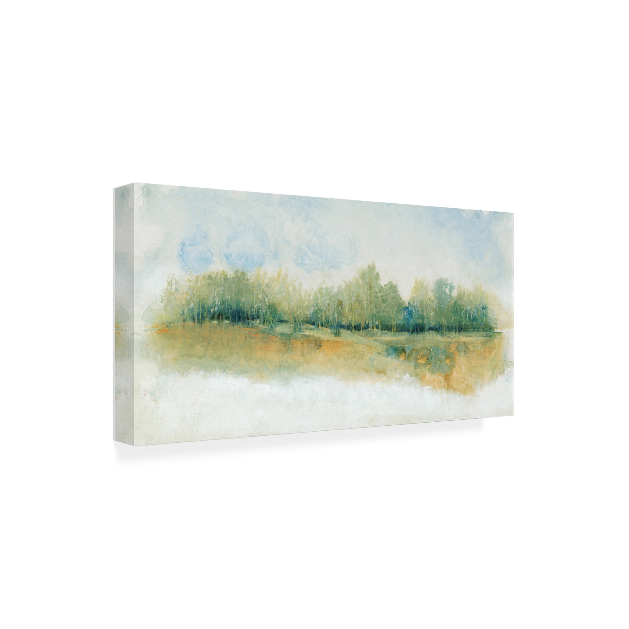 Tim O Toole 'Wind Break I' Canvas Art
