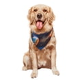 thumbnail image 5 of Naloa Night Sky Turtle Dog Bandanas 1PC Washable Triangle Dog Scarfs Premium Durable Fabric, for Small Medium Large Dogs and Cats, 5 of 6