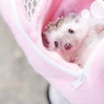 thumbnail image 6 of Cheers.US Hamster Carrier Bag Pets Portable Breathable Outgoing Bag for Small Animals Like Hedgehog,Sugar Glider,Squirrel,Guinea Pigcarriers, 6 of 7