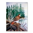 thumbnail image 1 of Trademark Fine Art 'Red Tailed Hawk' Canvas Art by Arie Reinhardt Taylor, 1 of 3