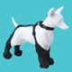 thumbnail image 3 of Bota para Perro, Zapatos para Perro, Bota Impermeable Ajustable para Perro, Zapatos Transpirables para Mascotas para Caminar Al Aire Libre, L, 3 of 5