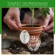 thumbnail image 2 of 4 juegos de tomates creativos multiusos para el crecimiento de plantas, transparentes y para jardín., 2 of 6