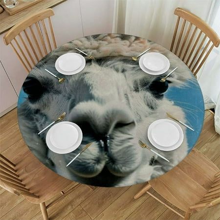 

Autua Llama Heart Round Table Cover Stain Resistant Washable for Indoor Outdoor Kitchen Dining Wedding Parties Full Width Single-Sided Printing 100% Polyester Fiber 54 -58