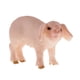 thumbnail image 5 of s de animales de cerdo de granja, modelo de simulación realista, juguete educativo de aprendizaje Zulema  Figura de juguete de estatuilla de cerdo, 5 of 6