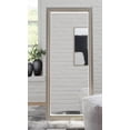thumbnail image 6 of Signature Design by Ashley Evesen Casual Full Length Lighted Floor Standing Mirror with Storage, Metallic, 6 of 8