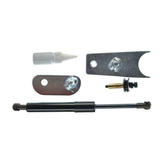 DAMAIJOY 1pc Tailgate Assist Lift Supports Rear Side Shock Struts Black for Chevy for Silverado 1500/2500HD/3500HD 2007-2018,for GMC for Sierra 1500/2500HD/3500HD 2007-2018