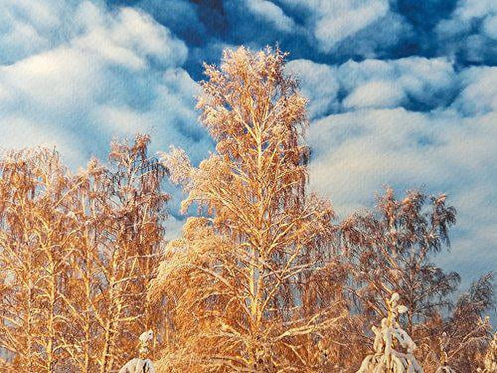 8.5" X 11" Cold Press Watercolor Fine Art Inkjet Paper - 5 Sheets