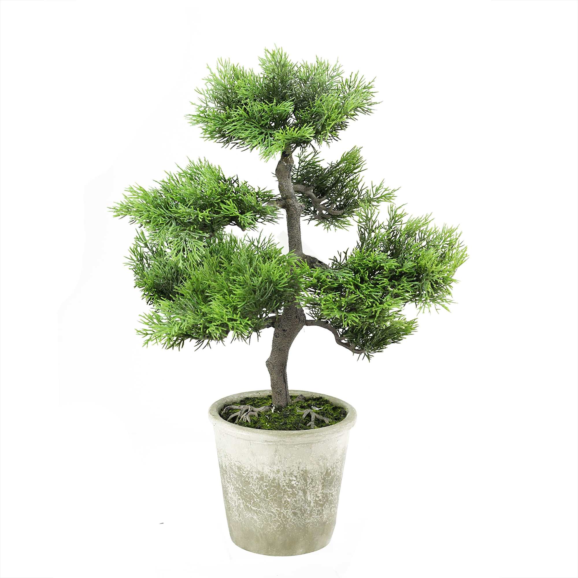 Northlight 1.6' Unlit Artificial Japanese Bonsai Tree in Weathered Pot