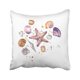 thumbnail image 1 of Funda de Almohada ABPHQTO Composición Colorida De Conchas Marinas Exóticas Y Estrellas De Mar 45x45 cm, 1 of 1