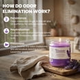 thumbnail image 2 of FPN Aroma Candles, Lavender, 12oz, 2-Pack, 90-Hr Burn, Odor Eliminating Set for Pet, Kitchen & Smoke, 2 of 9