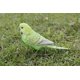 thumbnail image 1 of Figura Hi-Line Budgerigar con pie de hierro verde, poliresina, 1 of 8