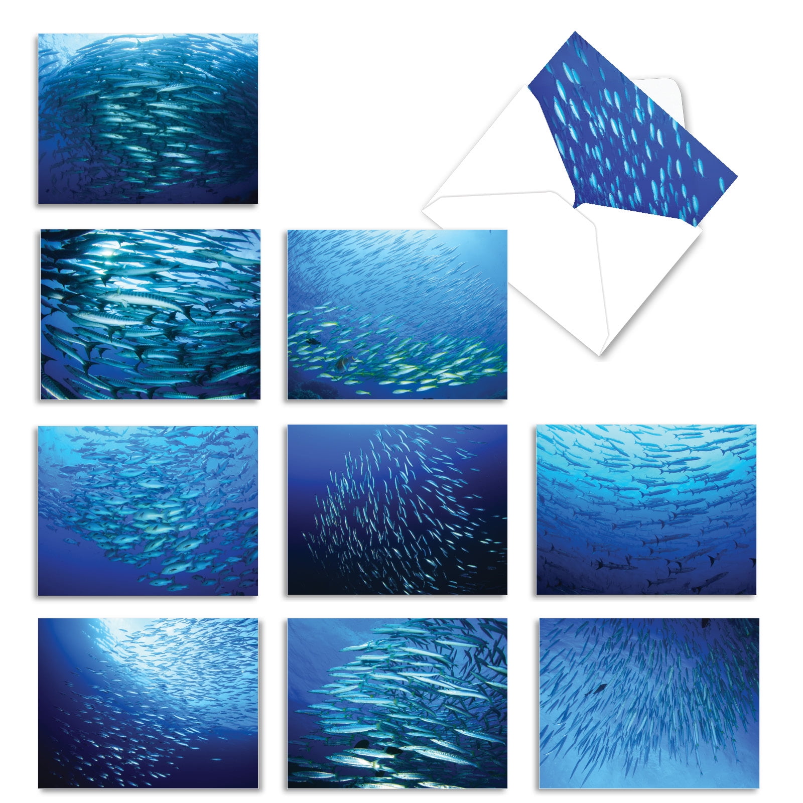 10 Boxed All Occasion Blank Note Cards with Envelopes (4 x 5.12 Inch) - DEEP THOUGHTS M2012