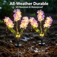 thumbnail image 5 of Rirool Solar Hyacinth Flower Lights Outdoor 2 Pack, Color Changing LED Garden Lights Waterproof Auto On/Off for Yard Patio Pathway Purple, 5 of 8