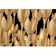 thumbnail image 3 of Hinkley Lighting - Flora - 50W 10 LED Linear Chandelier In Bohemian Style-27.75, 3 of 7