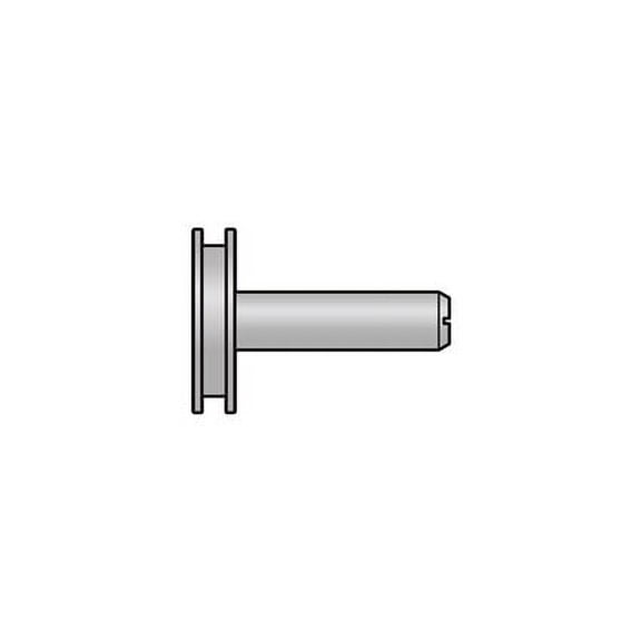 Felco 70/12 Piston with guiding rod F70/12