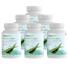 AloeCure Probiotic + Enzyme Capsules with Prebiotics, 2.4 Billion CFU +, Fortify your Digestive System 24/7, 30 Capsules, 6 Bottle Supply