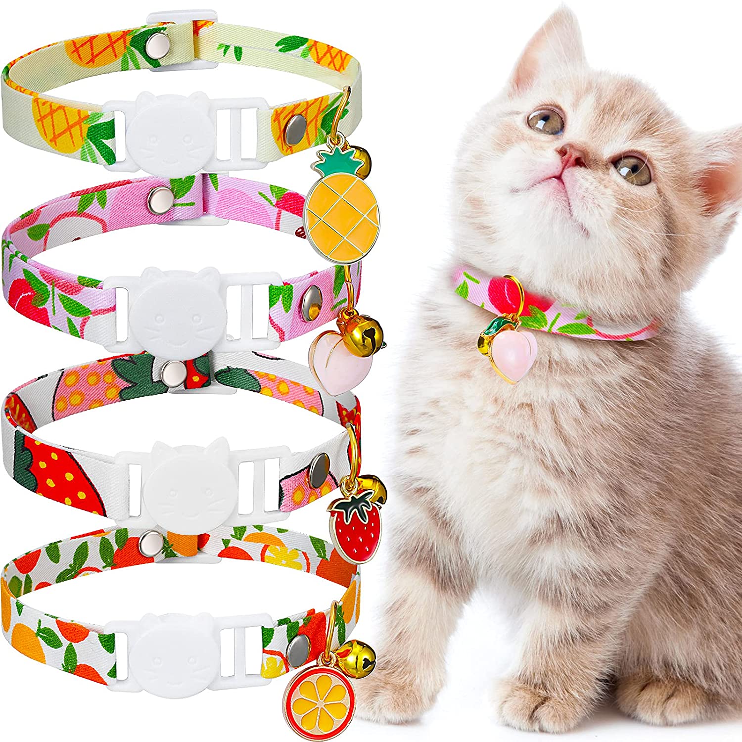 peach kitten collar