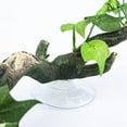 thumbnail image 3 of Reptile Corner Branch Terrarium Plant Decoration with Suction Cup for Amphibian Lizard Snake Climbing, 3 of 6