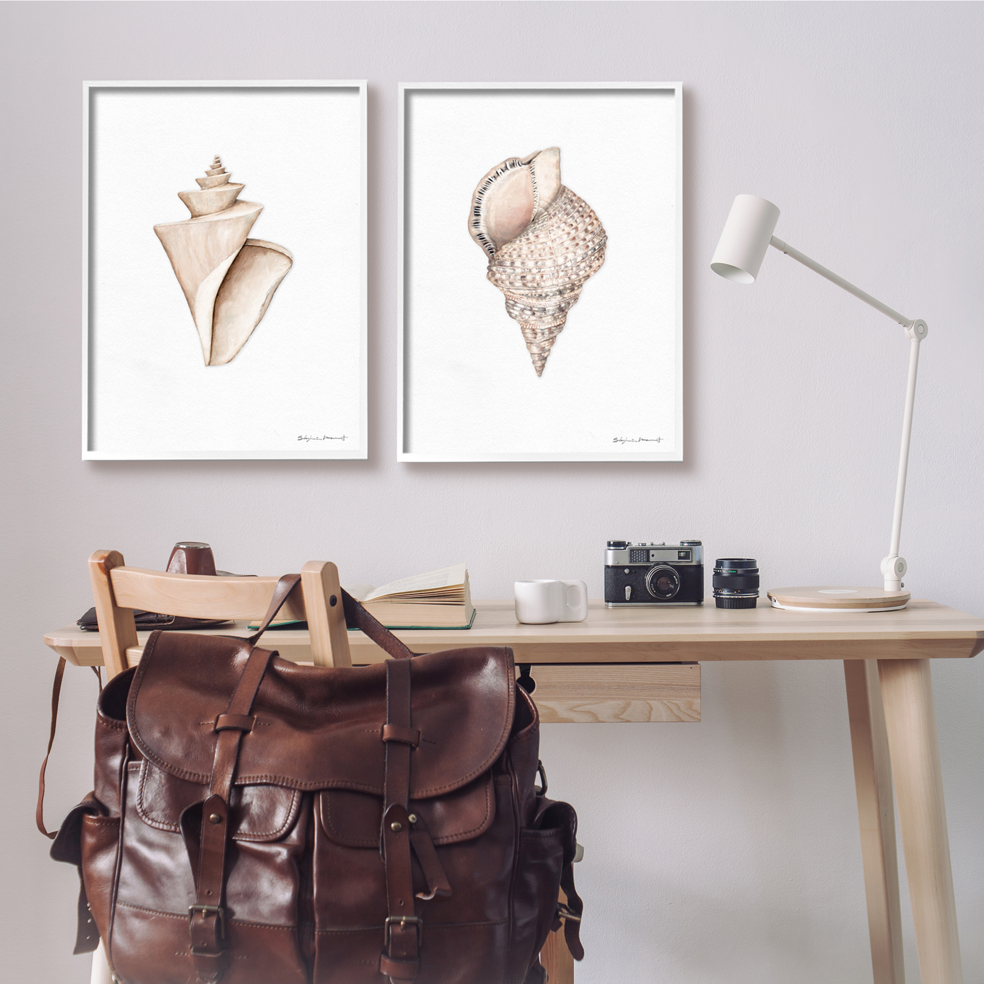 Stupell Industries Tranquil Spiral Sea Shells Soft Marine Life Illustration, 24 x 30, Design by Stephanie Workman Marrott