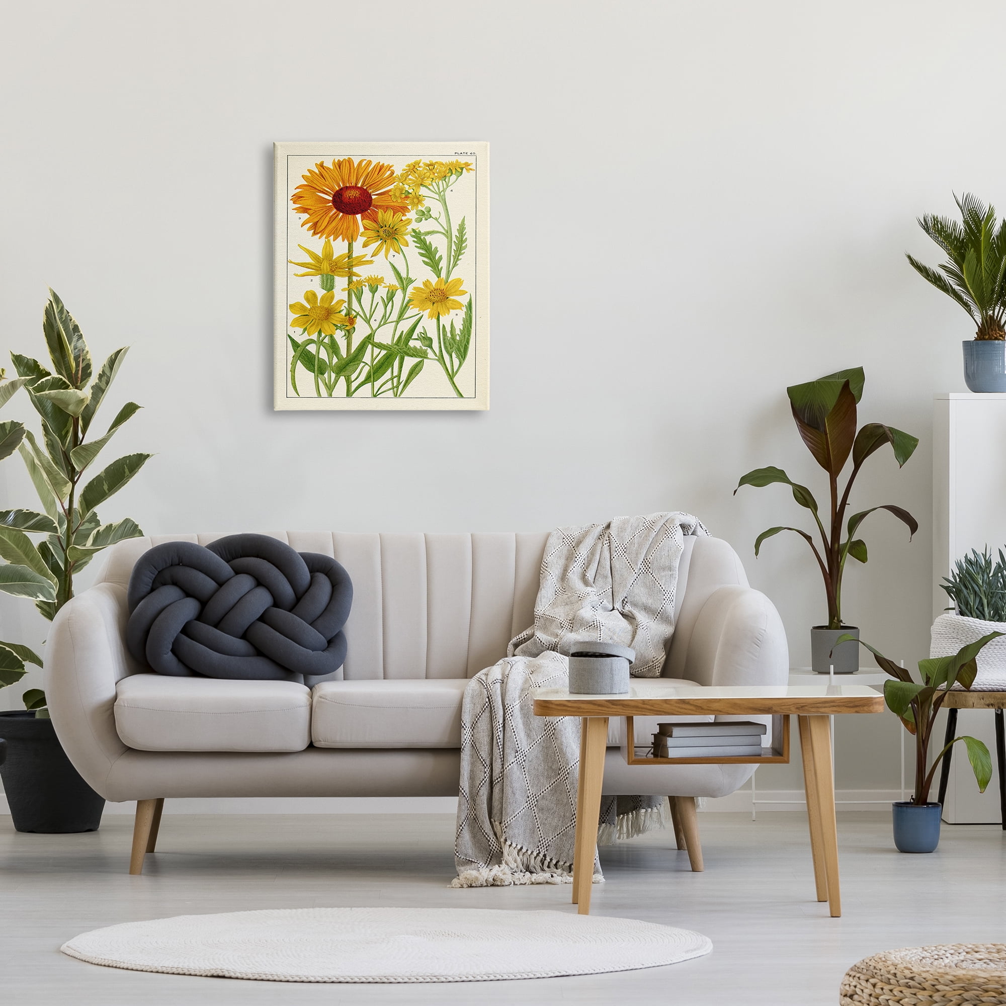 Stupell Industries Yellow Flower Studies Botanical & Floral Painting Gallery Wrapped Canvas Print Wall Art, 24 x 30