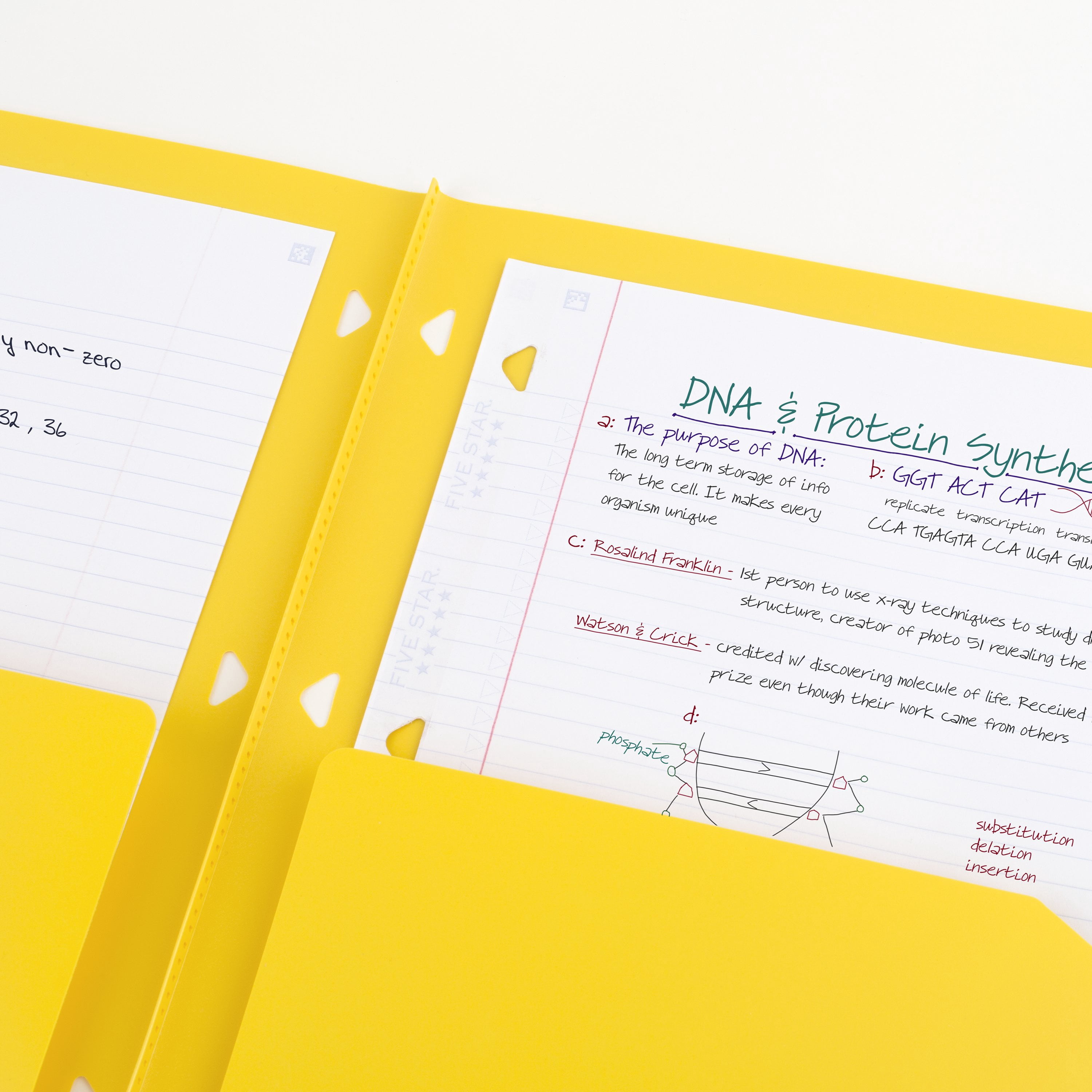 Five Star Clearview 2 Pocket Portfolio Yellow