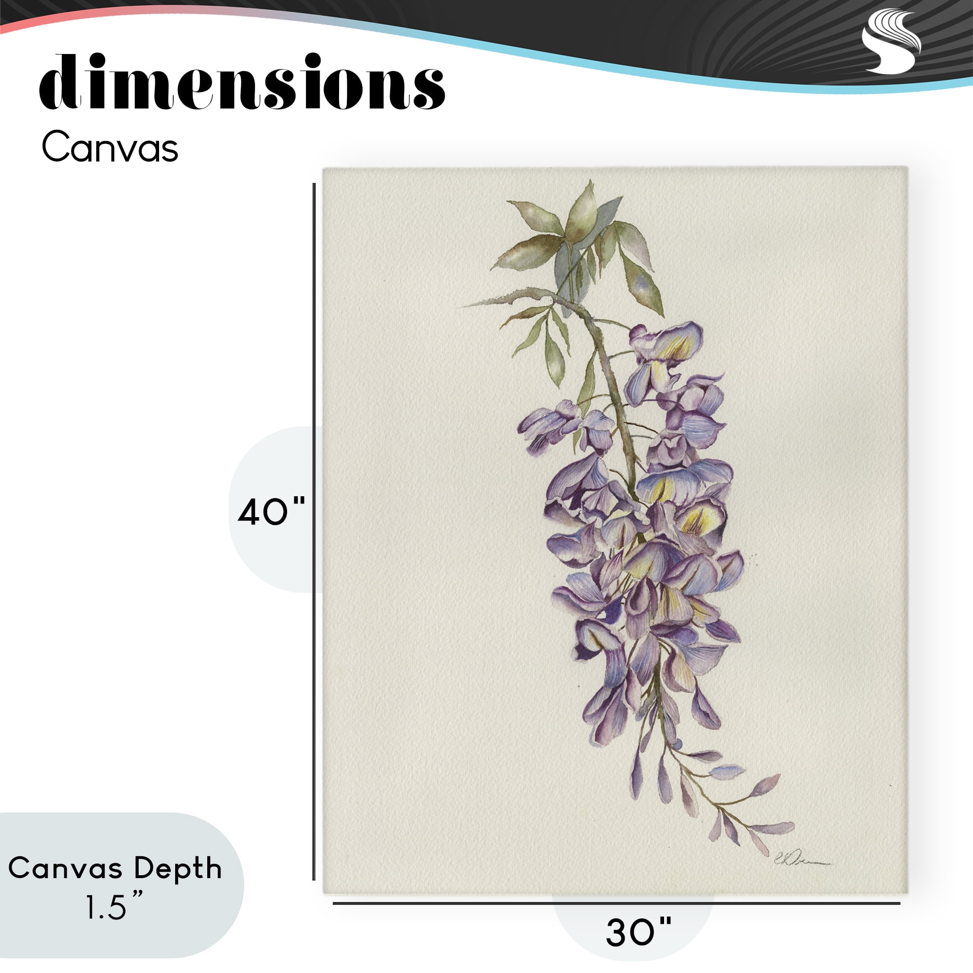 Stupell Industries Delicate Hyacinths Study Canvas Wall Art, design by Cady Driver
