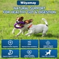 thumbnail image 3 of Probiótico para perros Woyamay 200 golosinas para la salud digestiva, 3 of 8