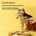 thumbnail image 6 of Crazyview Purriq Natural Silvervine Dental Sticks, Interactive Chew Sticks for Cats, Scratch and Bite Resistant for Dental Care Teeth Cleaning, 6 of 7