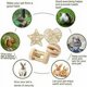 thumbnail image 4 of Juguetes masticables para dientes de conejo, juguetes molares para conejos, palitos de manzana naturales para conejos, chinchillas, conejillos de indias, hámsteres. Masticar y jugar mejoran, 4 of 5