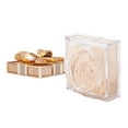 thumbnail image 4 of lionlar Face Concealer Creates Soft Focus Effect Natural White, 4 of 8