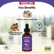 Liquid DMG for Dogs-Immune Health, Skin, Stamina, Muscles, Stress & Performance-Dimethylglycine-4oz
