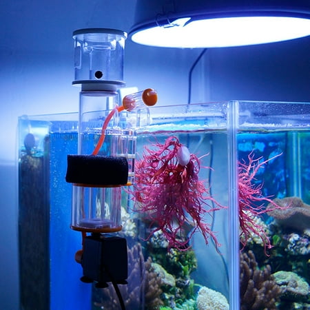 fish tank skimmer how