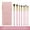 Pink-A, variant on 20PCS Makeup Brush Set - Wool Makeup Brush Kit, Foundation Eyebrow Eyeshadow Lip Blush Cosmetic Brushes, Makeup Brushes Set, Professional Brush Set, Make Up Brushes, Makeup Brush Set for Women