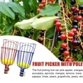 thumbnail image 2 of Speravity Cesta multifuncional de acero para recolección de frutas, recoja múltiples frutas con facilidad y eficiencia Melocotones Jardín y Patio rojo, 2 of 6