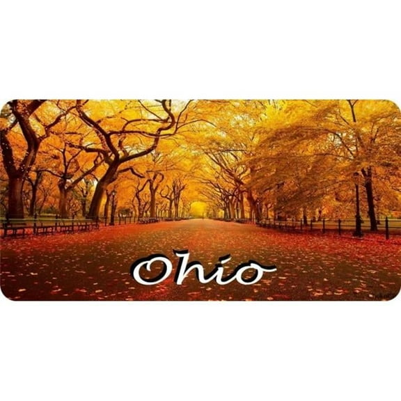 Ohio Fall Scene Photo License Plate