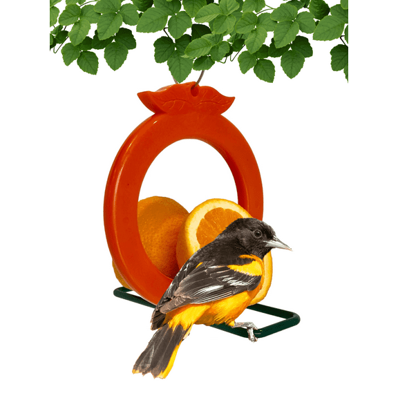 Songbird Essentials Bird Feeder Two Sided Orange Oriole Feeder