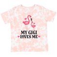 thumbnail image 3 of Inktastic My Gigi Loves Me Flamingo Girls Toddler T-Shirt, 3 of 5