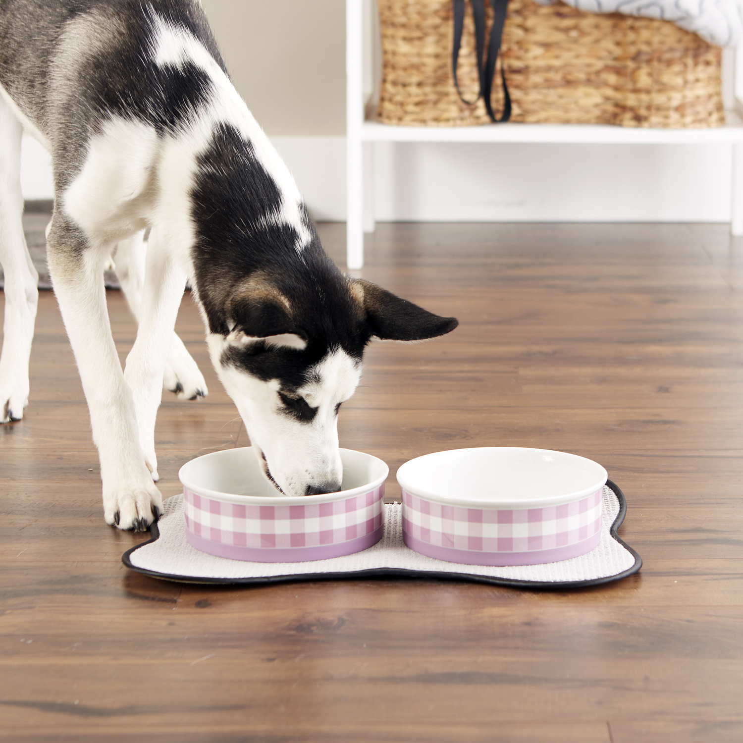 Bone Dry Pet Bowl Set, Large 7.5x2.4-inches, Pansy