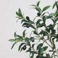 6FT Artificial Olive Tree (72") Tall, Faux Olive Tree Plants with Olive