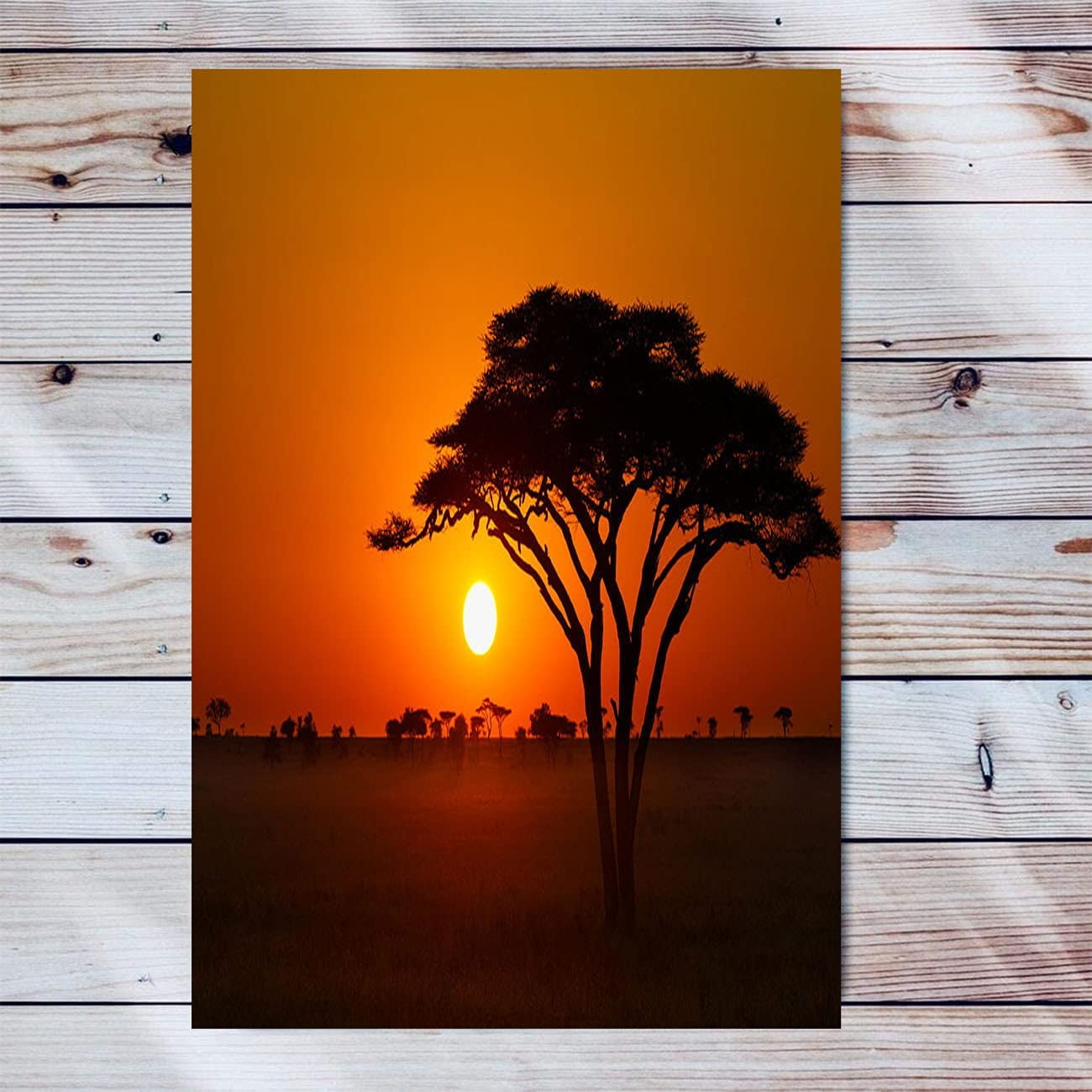 Sunrise Tree Africa Canvas Wall Art Artwork Wooden Frame Painting