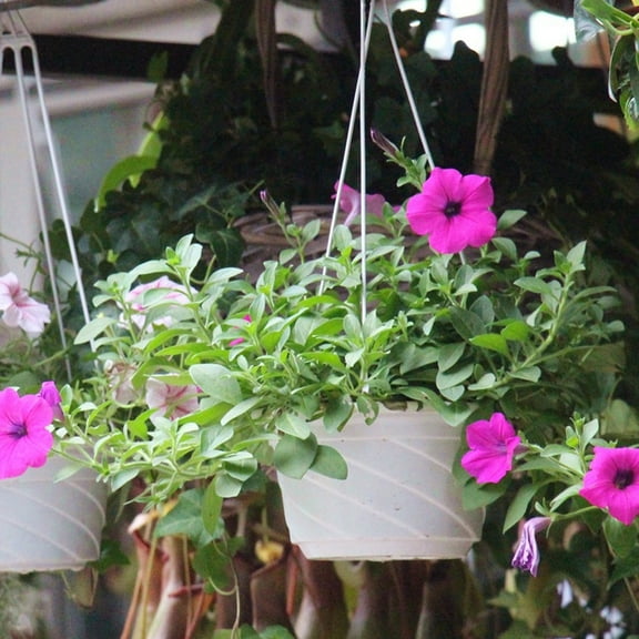 D-GROEE 3Pcs Plant Hanger Indoor Outdoor Hanging Hook Plant Holder Hanging Planter Stand Flower Pots for Decorations