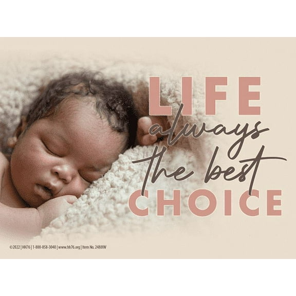 Life... Always The Best Choice Pro-Life Yard Sign