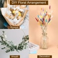 thumbnail image 5 of Tutuviw 60 Pcs Mini Dried Bunny Tails Grass, Natural Dried Bouquet DIY Craft Floral Arrangement for Party Wedding Home Kitchen Office Table Christmas Decor (Nature), 5 of 7