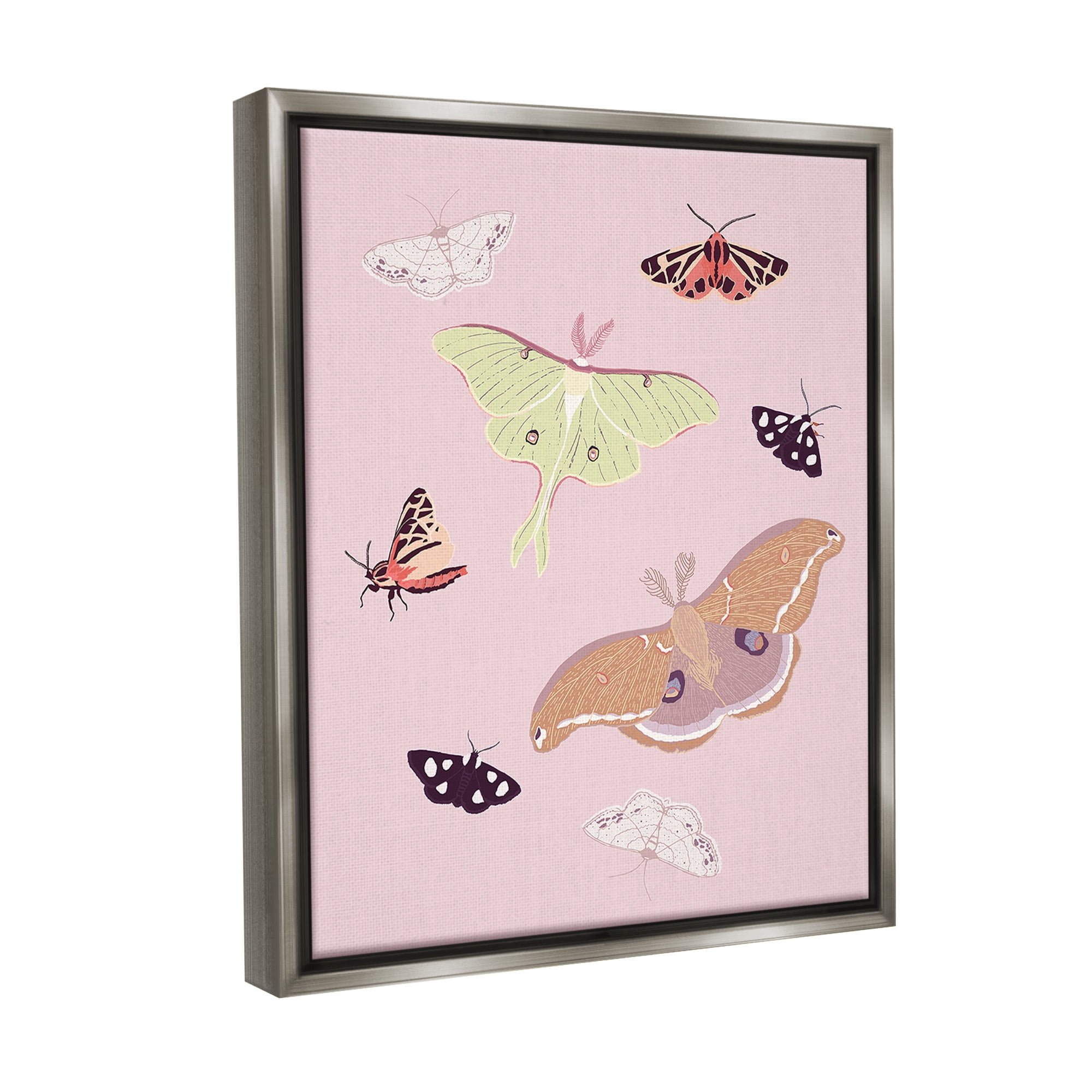 Stupell Industries Varied Moth Pattern Animals & Insects Painting Gray Floater Framed Canvas Art Print Wall Art, 25 x 31