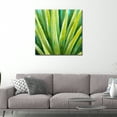 thumbnail image 5 of Unlimited Art Project - Green Cactus Boho Aloe Canvas Wall Art Print Nature Wall Décor, 5 of 6