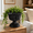 Dark Gray, variant on White European Style Vintage Tower Planter, Plastic Flower Pot with Detachable Base Tray for Greengerys, Hydroponic Container for Herbs Flowers 9.8x11.8i