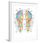 Art.com Reflexology Foot Map, Artwork Photographic Print by Peter Gardiner, White Frame Wall Art, 23" x 29"